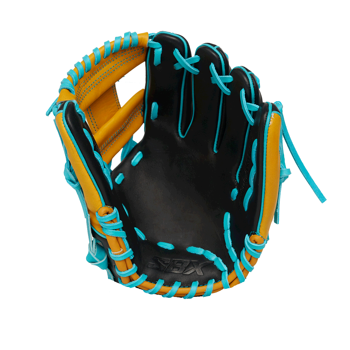 2025 Desert Oasis T2 ProHide Series Infield Fastpitch Glove